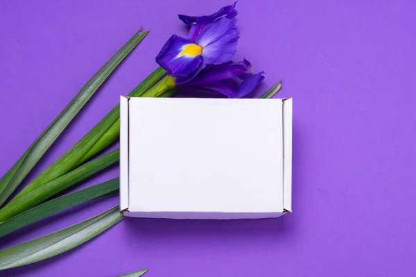 Caja Cartón Blanco Adornada Con Flores Frescas Iris — Foto de Stock