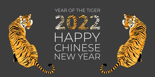 2022 Année Tigre Bonne Couverture Créative Nouvel Chinois Conception Bannière — Image vectorielle