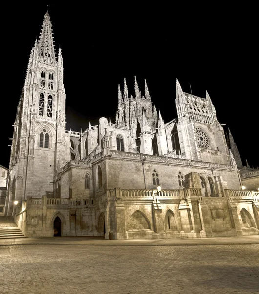 Burgos Cathedral — Stock Photo, Image