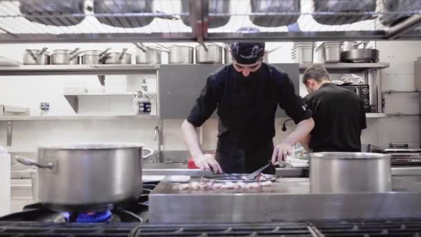 Diverso grupo de chefs que preparan comida en la cocina del restaurante. Trabajando en una cocina ajetreada. — Vídeos de Stock