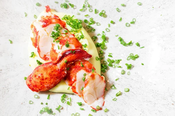 Chunks of cooked cut lobster meat served on a plate. — Stock Photo, Image