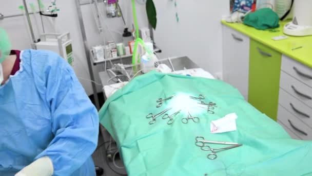 Female Veterinary surgeon operating in the operating room of a veterinary clinic. Vet doing surgery in the clinic. Medicine, pet, animals, health care and people concept. — Video Stock