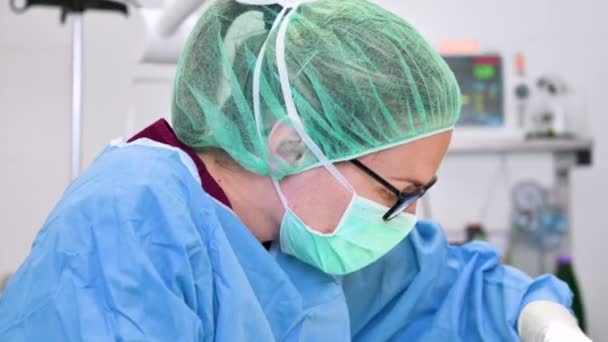 Γυναίκα Κτηνίατρος χειρουργός που χειρουργεί στο χειρουργείο κτηνιατρικής κλινικής. Vet κάνει χειρουργική επέμβαση στην κλινική. Ιατρική, κατοικίδιο ζώο, ζώα, υγειονομική περίθαλψη και άνθρωποι έννοια. — Αρχείο Βίντεο