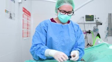 Bir veteriner kliniğinin ameliyathanesinde kadın veteriner cerrahı. Klinikte veteriner ameliyatı yapıyor. İlaç, hayvan, hayvan, sağlık ve insan konsepti.