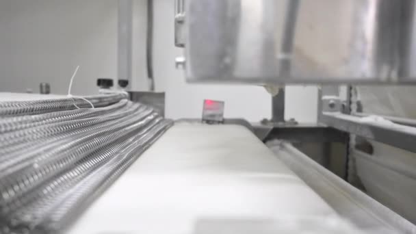Automatisierte Produktionslinie in der Brotfabrik. Rohe Brotlaibe auf dem Band bereit für das Backen im Ofen. — Stockvideo