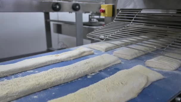Промислова лінія виробництва хліба — стокове відео