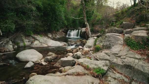 Drone aéreo disparado voando em um desfiladeiro com um riacho correndo por uma cachoeira, pedras verdes com musgo, câmera lentamente voando para a frente muito baixo, água correndo para baixo . — Vídeo de Stock