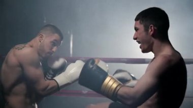 İki kaslı karma dövüş sporcusu ringde dövüşüyor..