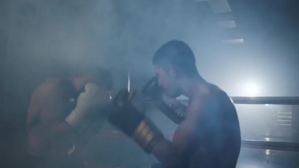 Два мускулистых спортсмена смешанных боевых искусств, сражающихся на ринге. — стоковое видео