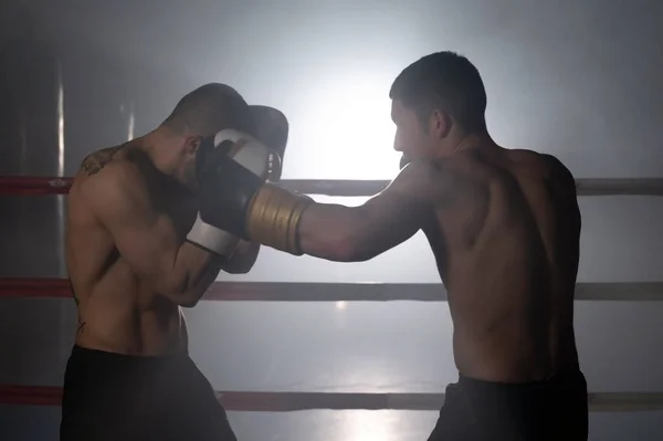 Two muscular mixed martial arts athletes fighting in the ring.