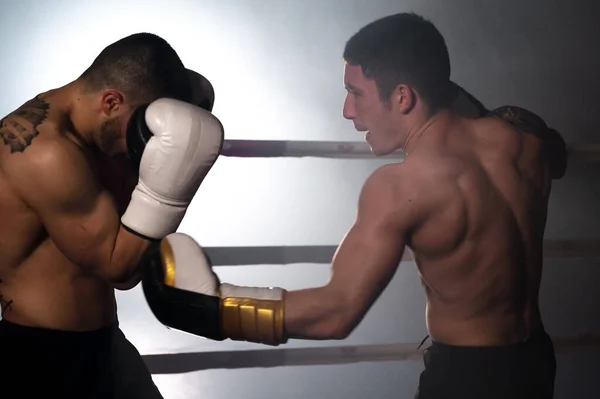 Due giovani pugili maschi senza maglietta muscolosi professionisti che combattono in un ring di pugilato. — Foto Stock
