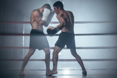 İki profesyonel genç kaslı üstsüz erkek boksör bir boks ringinde dövüşüyor..