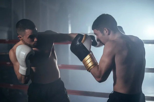 Два м'язистих змішаних бойових мистецтва спортсмени борються на рингу . — стокове фото