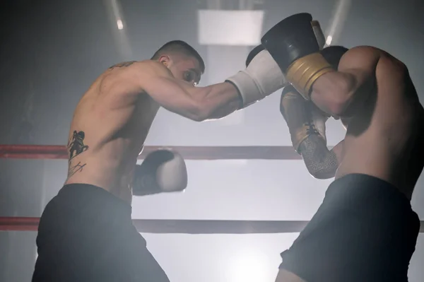 二つのプロの若いです筋肉のない男性ボクサー戦いでボクシングリング. — ストック写真