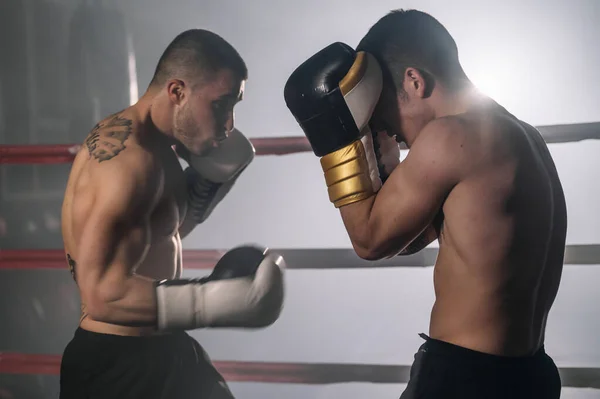 Dwóch młodych muskularnych bokserów walczących na ringu bokserskim. — Zdjęcie stockowe