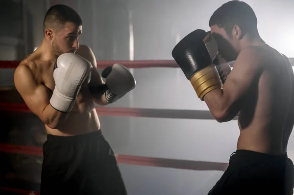 Dwóch młodych muskularnych bokserów walczących na ringu bokserskim. — Zdjęcie stockowe