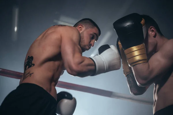 Dois profissional jovem muscular shirtless masculino boxers lutando em um anel de boxe. — Fotografia de Stock