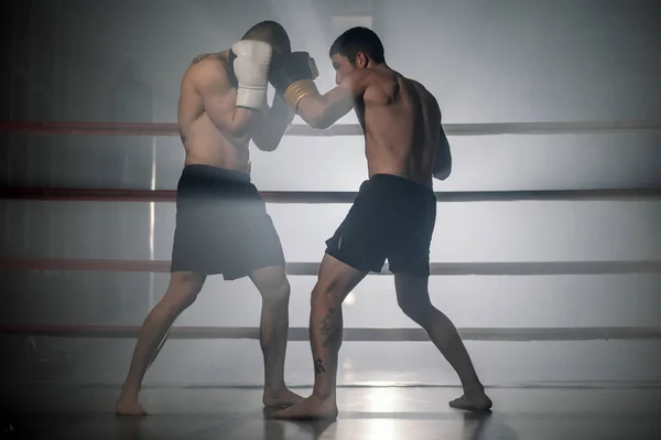 Två professionella unga muskulösa skjortor manliga boxare slåss i en boxningsring. — Stockfoto