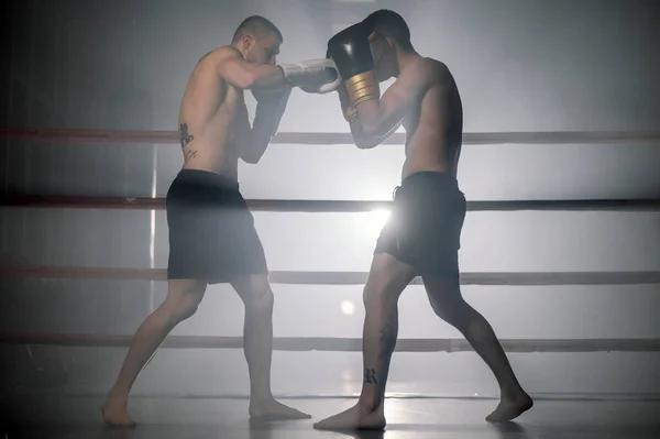 Två muskulösa blandade kampsporter idrottare slåss i ringen. — Stockfoto
