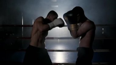 İki kaslı karma dövüş sporcusu ringde dövüşüyor..
