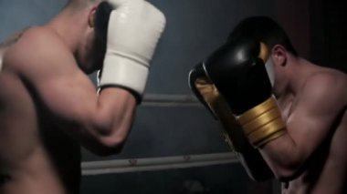 İki kaslı karma dövüş sporcusu ringde dövüşüyor..