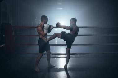 Boks ringinde dövüşen iki üstsüz kaslı adam..