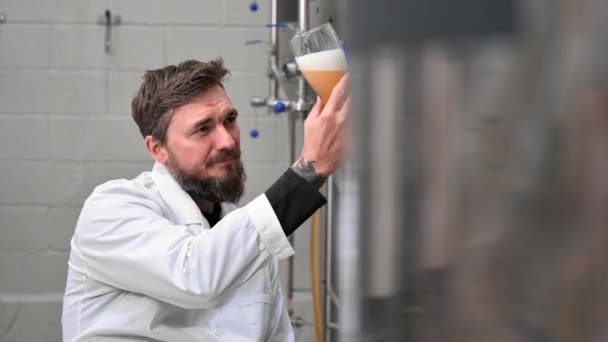 Brewer wearing white coat controlling process of beer fermentation while working at modern beer factory. — Stok Video