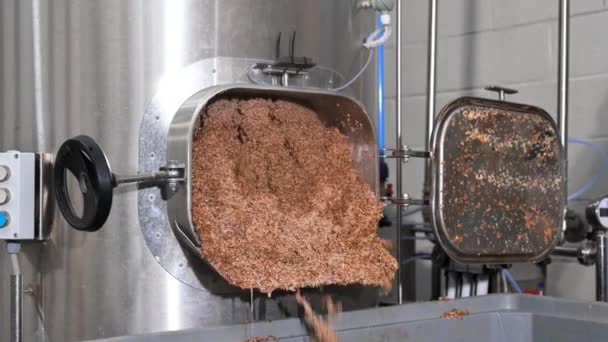 Beer Production. Brewer Pulls Out Spent Malt From A Beer Brewing Tank. — Video Stock