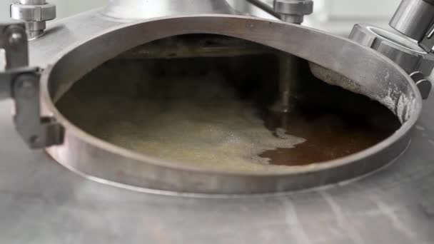 Beer brew tank with boiling malt — ストック動画