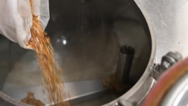 Ember ömlött egy zacskó maláta a sör tank, gyári — Stock videók