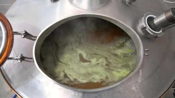 Beer brew tank with boiling malt — Stock Video