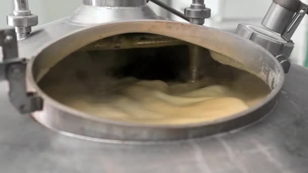 Beer brew tank with boiling malt — Video Stock