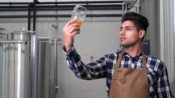 Handsome brewer in apron testing beer at brewery. — Stock videók