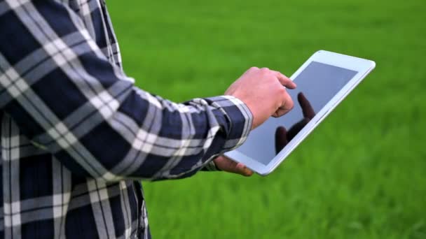 Close-up van een boer lezen of analyseren van een rapport in tablet computer op een groene landbouw veld. — Stockvideo