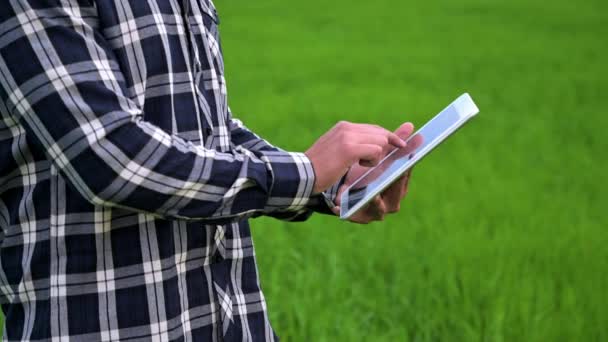 Close up of a Farmer man read or analysis a report in tablet computer on a green agriculture field. — ストック動画