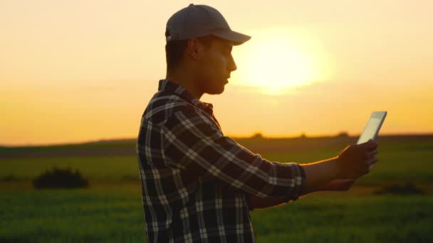 Γεωπόνος αγρότης που χρησιμοποιεί ηλεκτρονικό υπολογιστή ταμπλέτας σε χωράφι με σιτάρι το ηλιοβασίλεμα. — Αρχείο Βίντεο