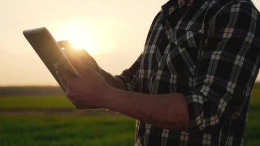 Çiftçinin Kapanışı Gün batımında Organik Çiftlikte Dijital Tablet Kullanıyor