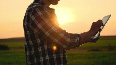 Çiftçinin Kapanışı Gün batımında Organik Çiftlikte Dijital Tablet Kullanıyor