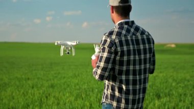 Modern Tarım Teknolojileri. Genç bir buğday tarlasının üzerinde İHA uçuran çiftçi.