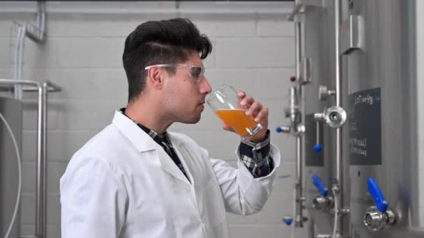 Cervejaria testando cerveja na fábrica de cervejaria — Vídeo de Stock