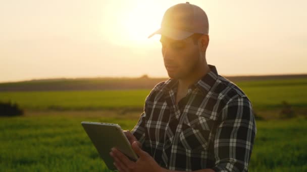 Νεαρός Αγρότης Στέκεται Έναν Αγρό Πράσινου Σιταριού Μια Ταμπλέτα Στα — Αρχείο Βίντεο