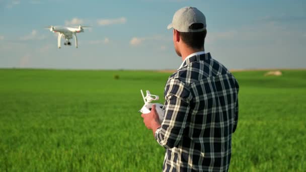 若い農夫はドローンを飛行して畑の上を飛行した 高品質4K映像 — ストック動画