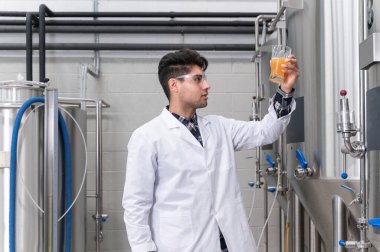 Bira fabrikasında bira test eden bira üreticisi. Yüksek kaliteli fotoğrafçılık.