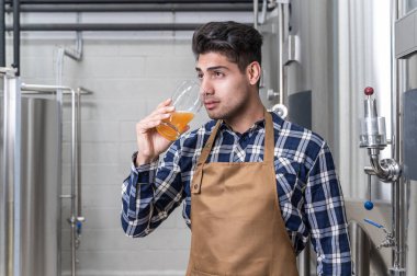 Bira fabrikasında bira test eden önlüklü yakışıklı bir bira üreticisi. Yüksek kaliteli fotoğrafçılık.