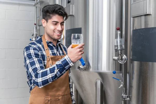 Bira Fabrikasında Bira Test Eden Önlüklü Yakışıklı Bir Bira Üreticisi — Stok fotoğraf