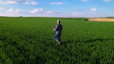Agronomist tarlada yürüyor ve bir tablette online çalışıyor, bir çiftçi yerdeki ekinleri analiz ediyor, tarımsal yaşamı. Yüksek kalite 4k görüntü
