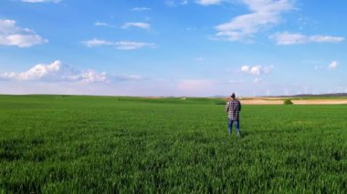 Agronomist tarlada yürüyor ve bir tablette online çalışıyor, bir çiftçi yerdeki ekinleri analiz ediyor, tarımsal yaşamı. Yüksek kalite 4k görüntü