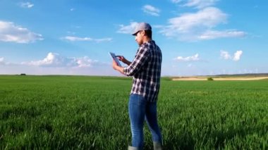 Dijital tablet kullanan ve buğday mahsulünü izleyen bir çiftçi görüntüsü. Yüksek kalite 4k görüntü