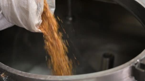 Man Pouring Bag Malt Beer Tank Factory High Quality Fullhd — Stock Video