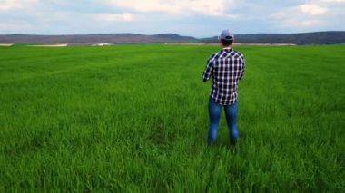 Modern Tarım Teknolojileri. Genç bir buğday tarlasının üzerinde dron uçuran çiftçi. Yüksek kalite 4k görüntü